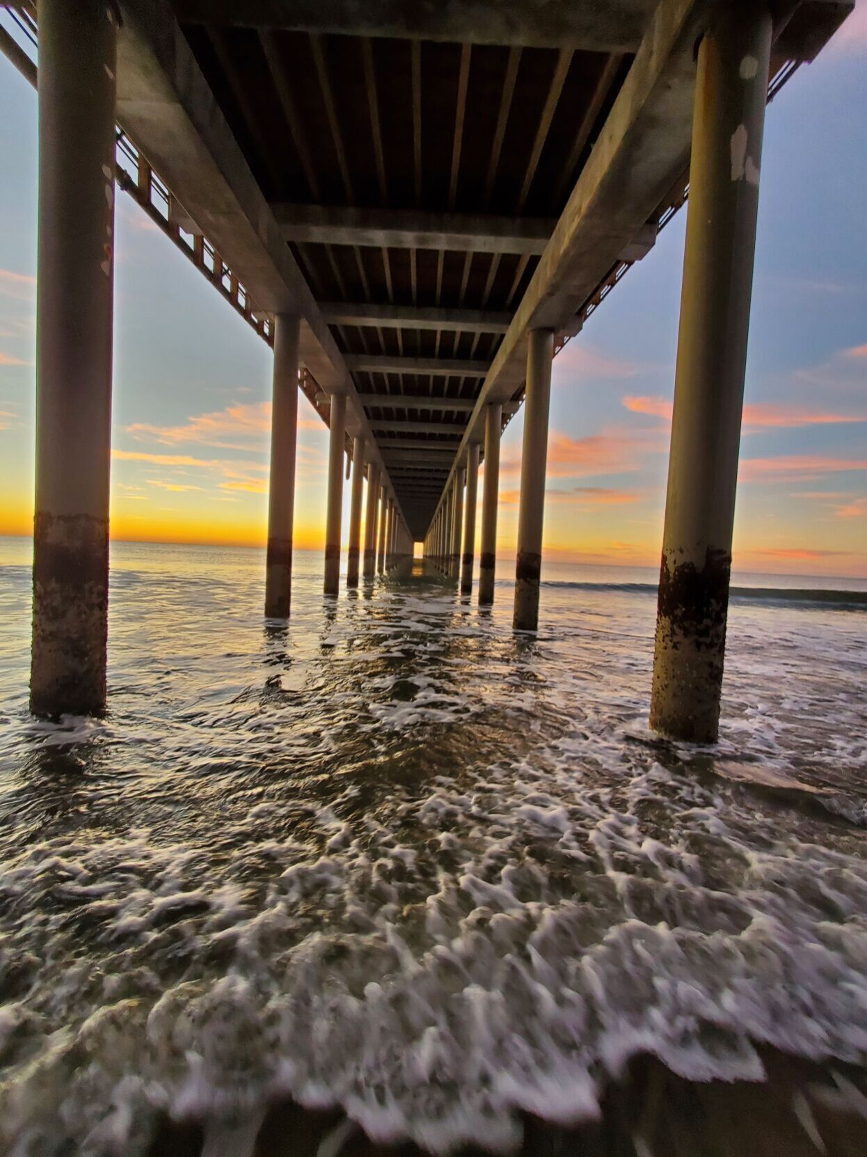Peering under the pier